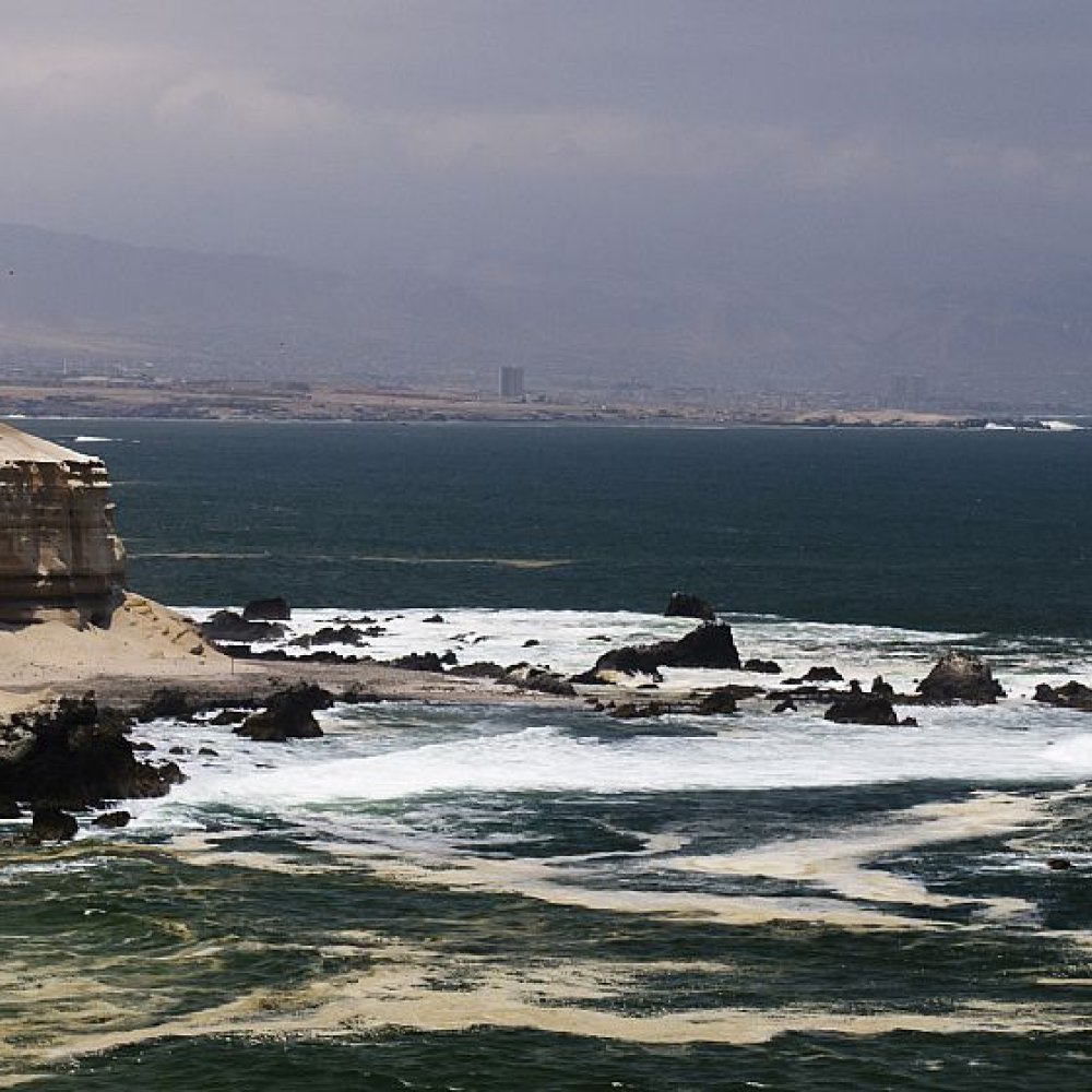 Standard Post with Image