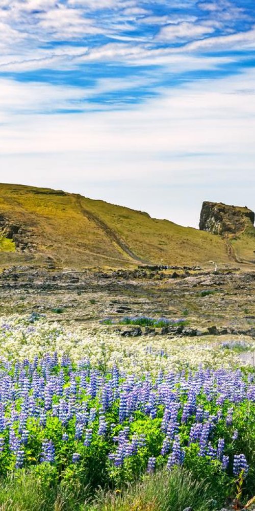 Keflavik portrait image