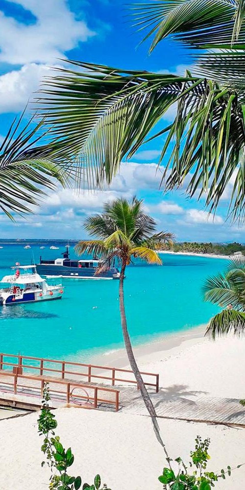 Bayahibe public transport