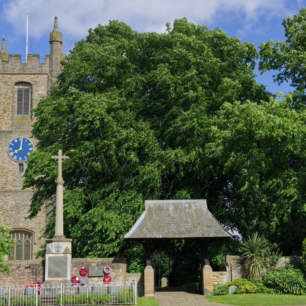 Standard Post with Image