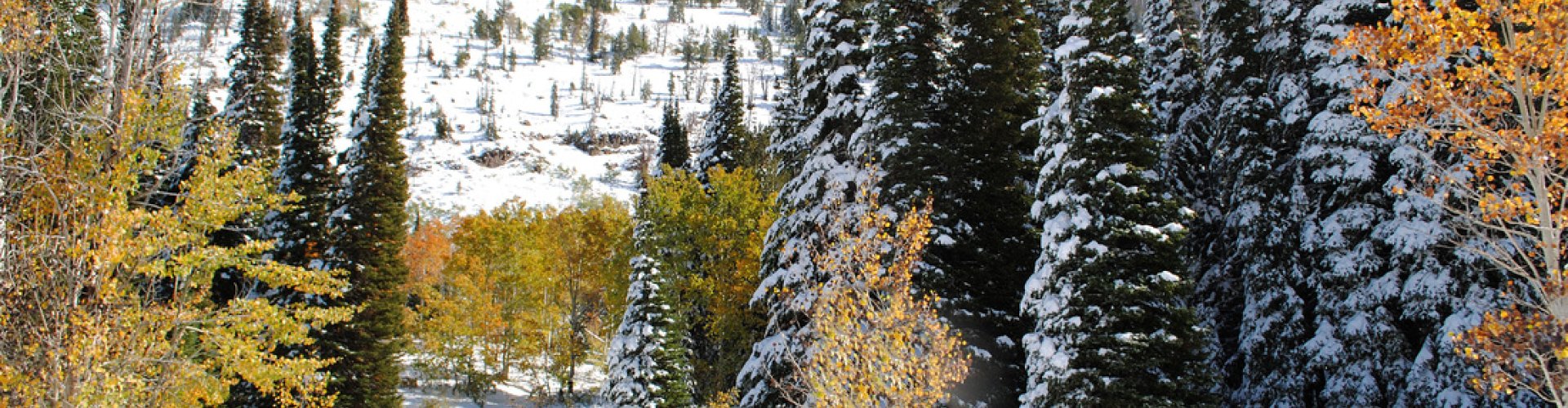 Sunset view over historic Elko skyline