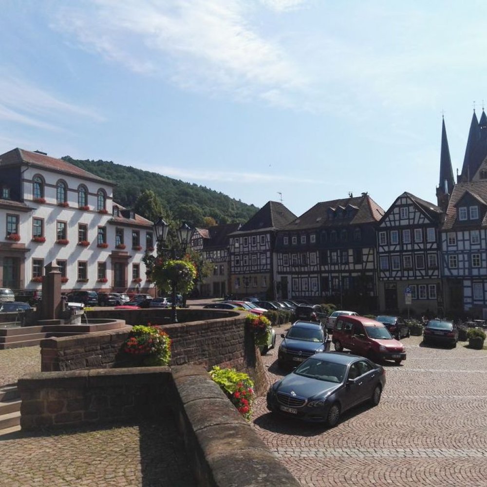 Standard Post with Image