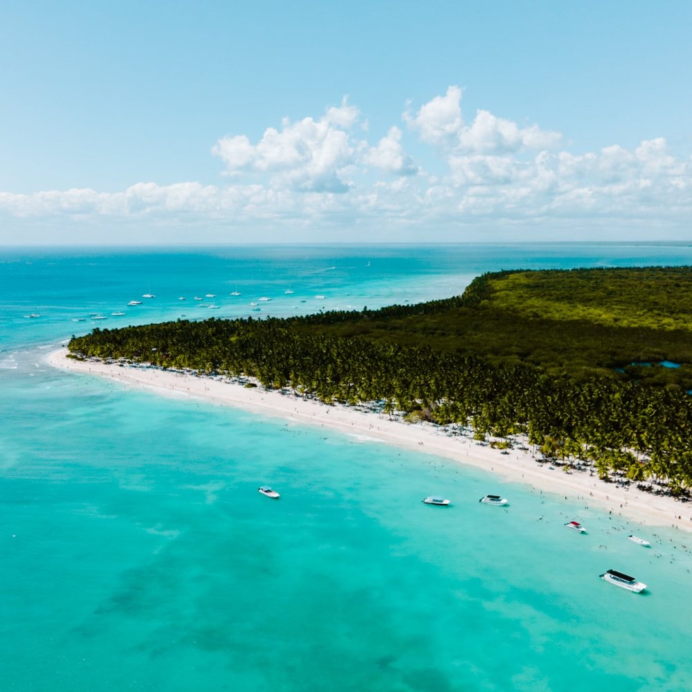 Standard Post with Image