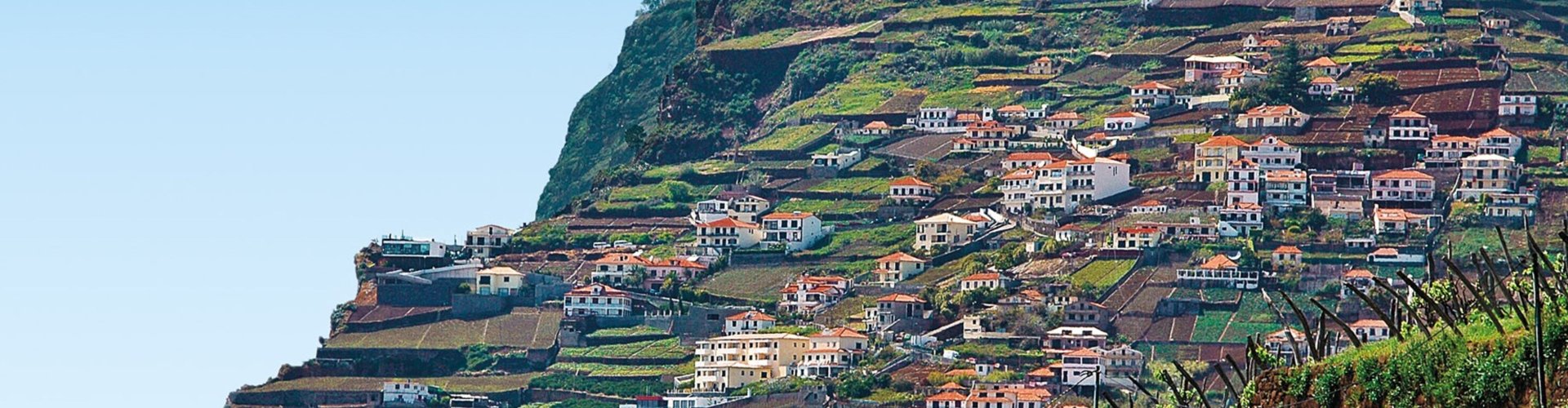 Funchal Historic District Landscape