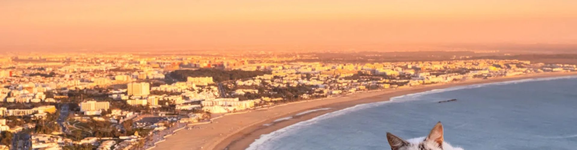 Sunset over Agadir's cultural landscape