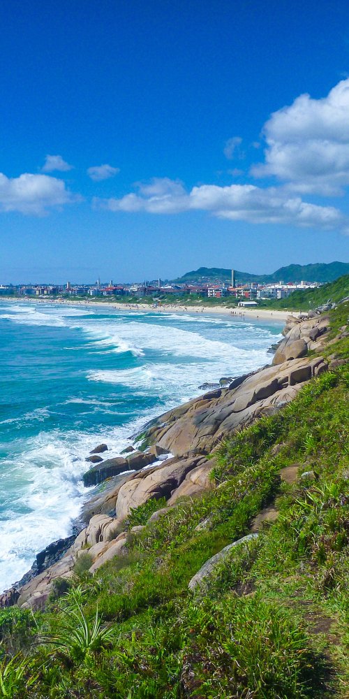Local transit and city streets in Rio Vermelho