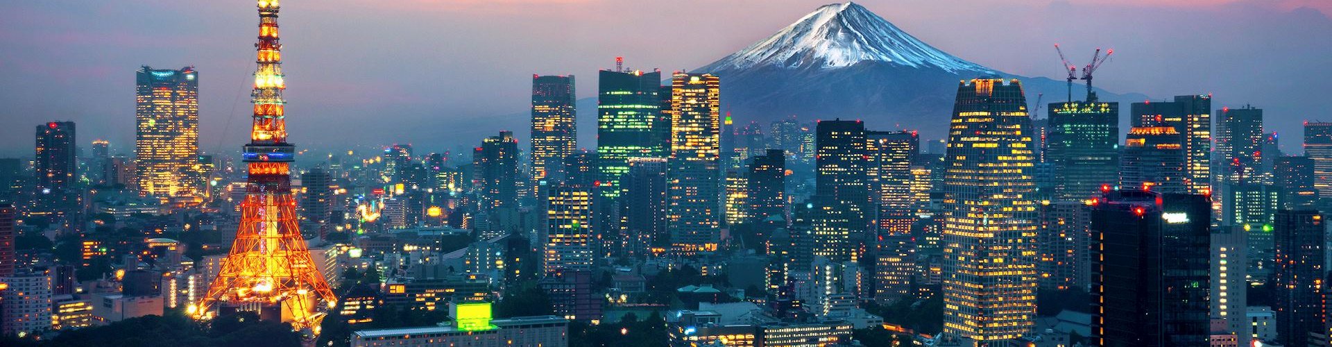 Panoramic view of Tokyo cityscape