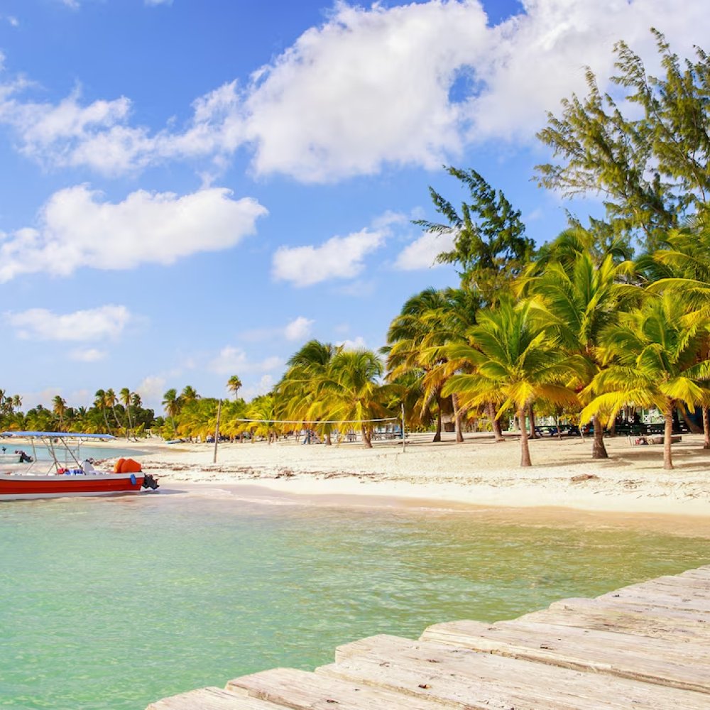 Standard Post with Image