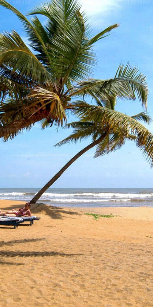 Exploring Negombo on foot