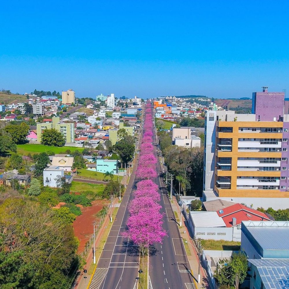 Standard Post with Image