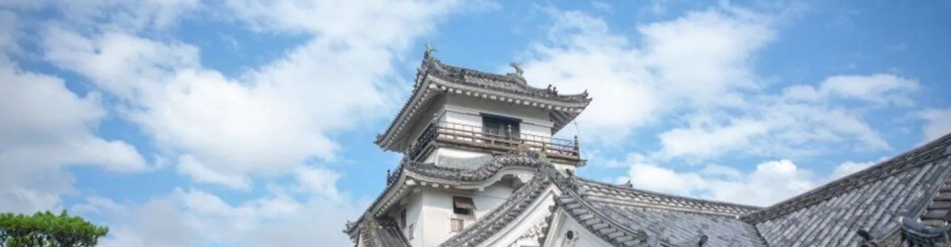 Cultural Journey in Kochi, JP