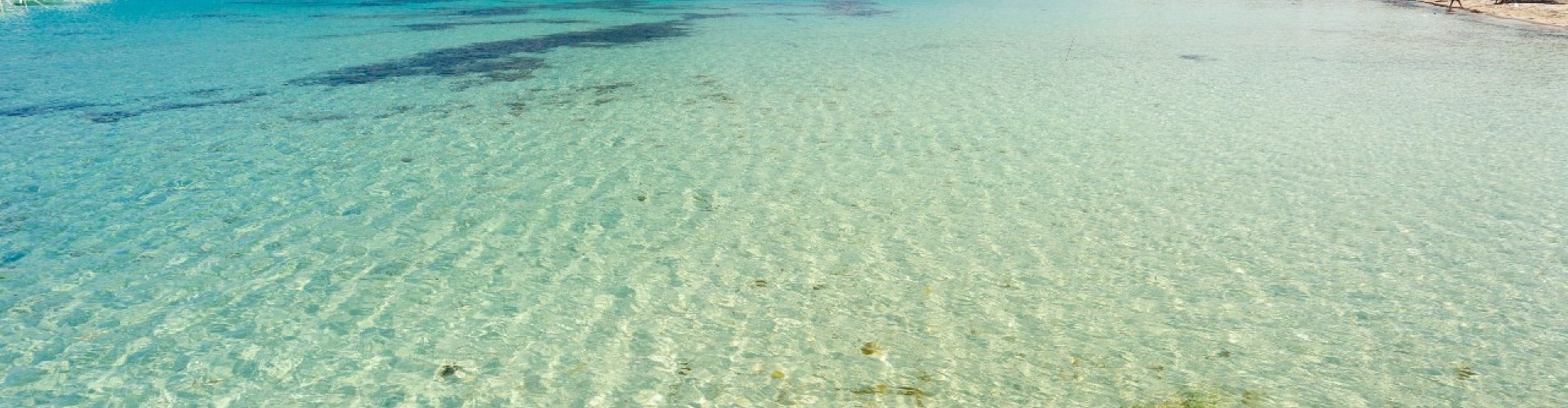 Palermo Historic View