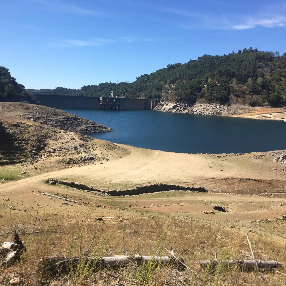 Standard Post with Image