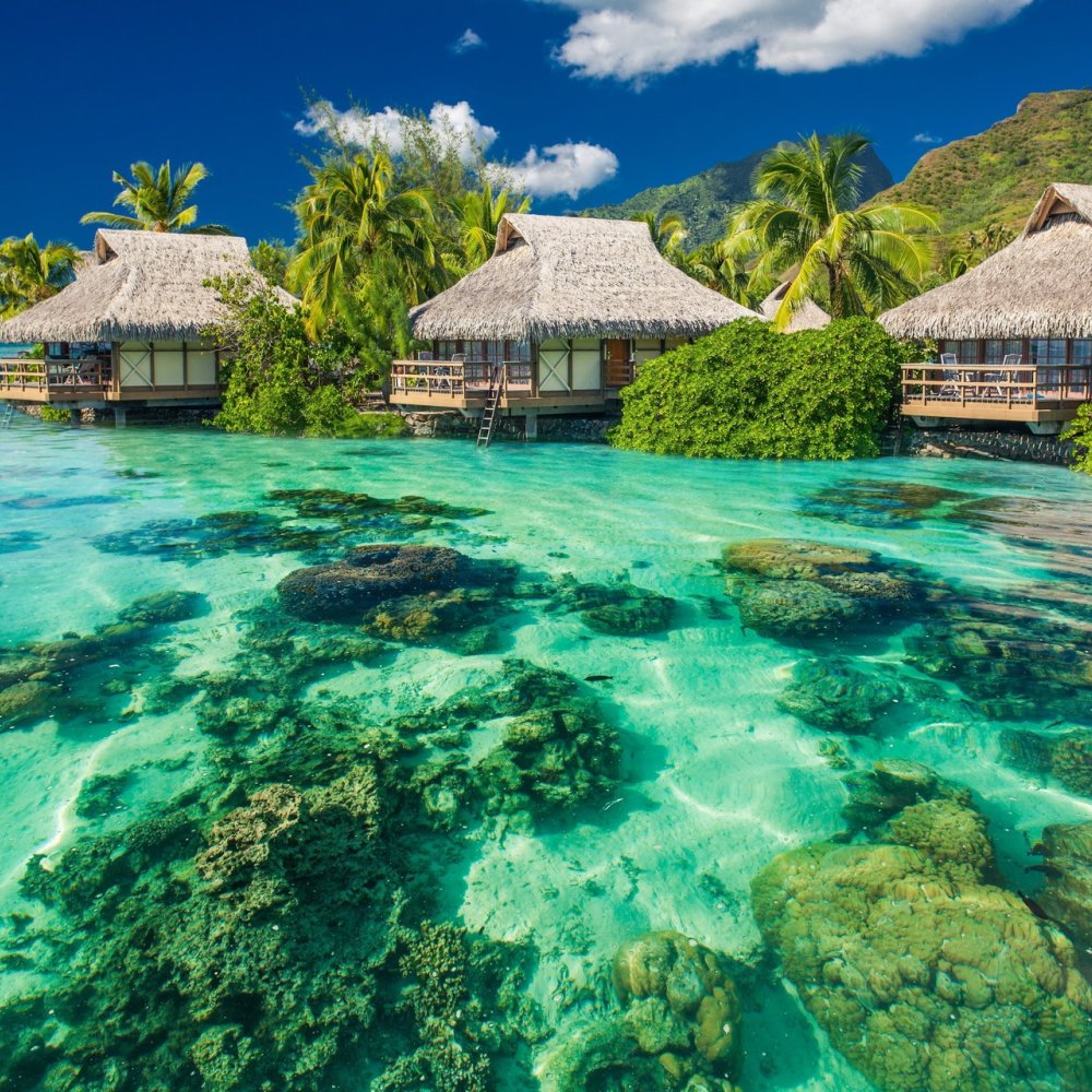 Standard Post with Image