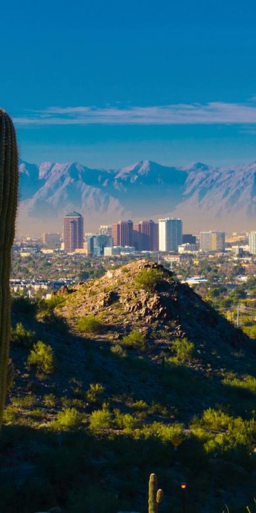 Phoenix Metro Transport