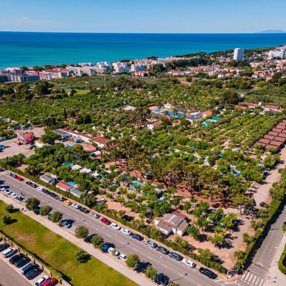 Standard Post with Image