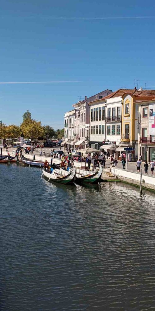 Traditional moliceiro boat in Aveiro
