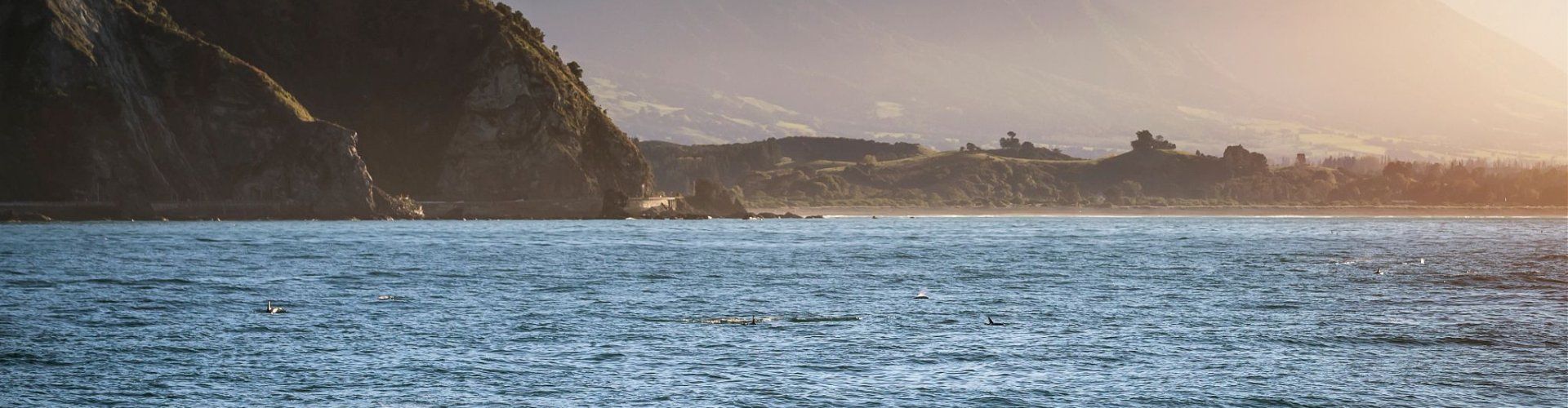 Scenic landscape of Kaikōura mountains and coastline