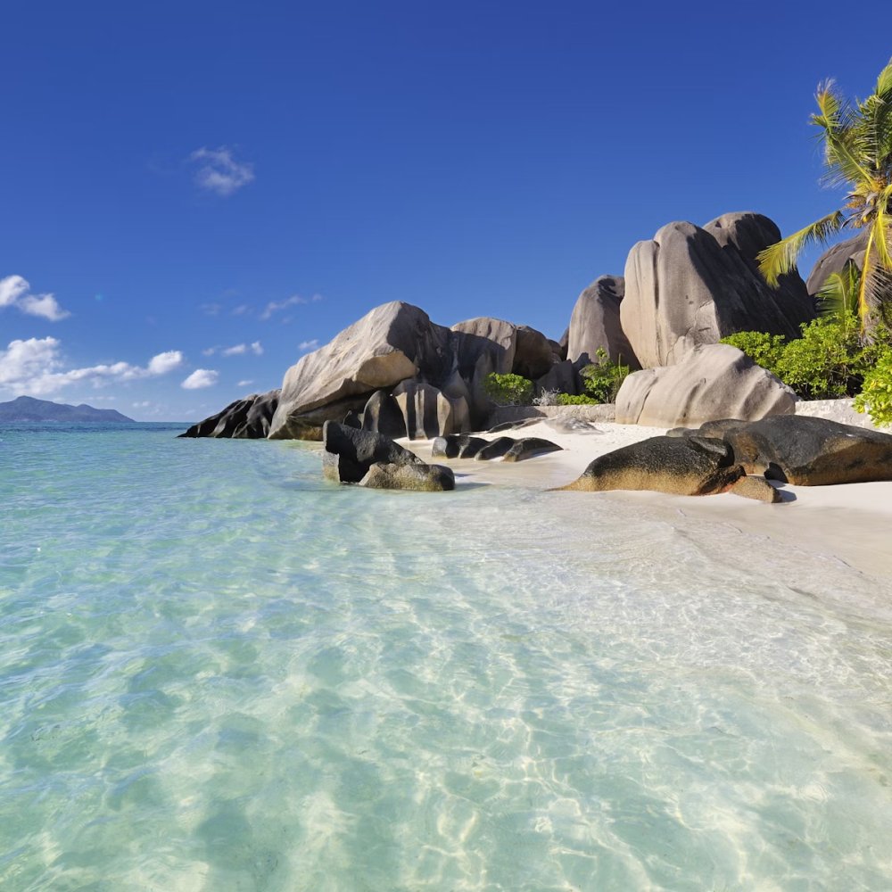 Standard Post with Image