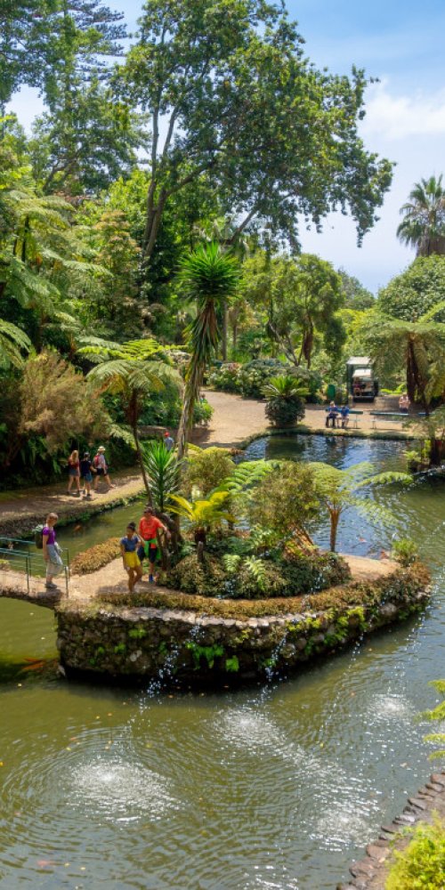 Public Transport in Funchal